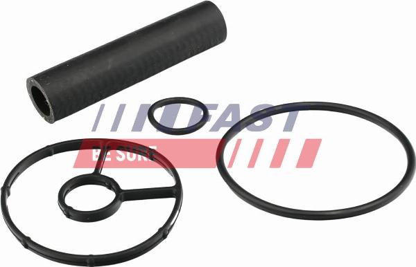 Fast FT48935 - Guarnizione, Radiatore olio www.autoricambi360.it