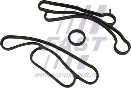Fast FT48938 - Guarnizione, Radiatore olio www.autoricambi360.it