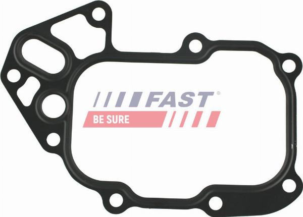 Fast FT48548 - Guarnizione, Radiatore olio www.autoricambi360.it