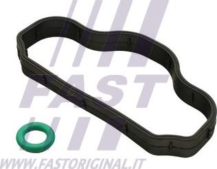 Fast FT48302 - Guarnizione, Bulloni copritestata www.autoricambi360.it