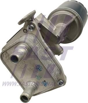 Fast FT55405 - Radiatore olio, Olio motore www.autoricambi360.it