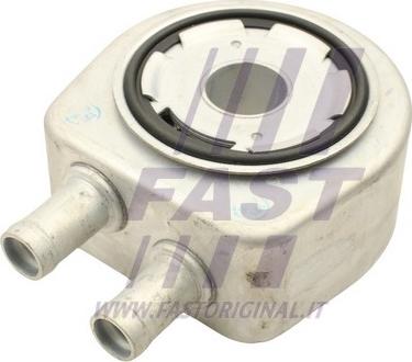 Fast FT55419 - Radiatore olio, Olio motore www.autoricambi360.it