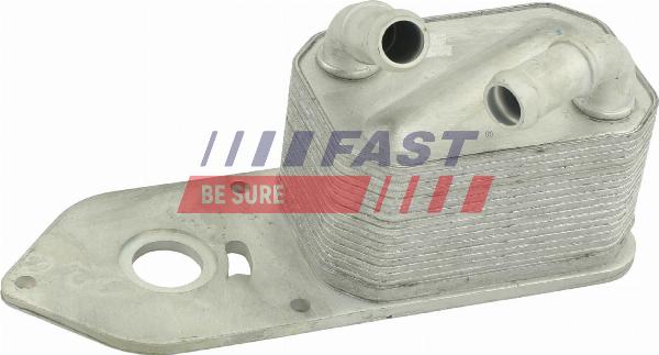 Fast FT55415 - Radiatore olio, Olio motore www.autoricambi360.it