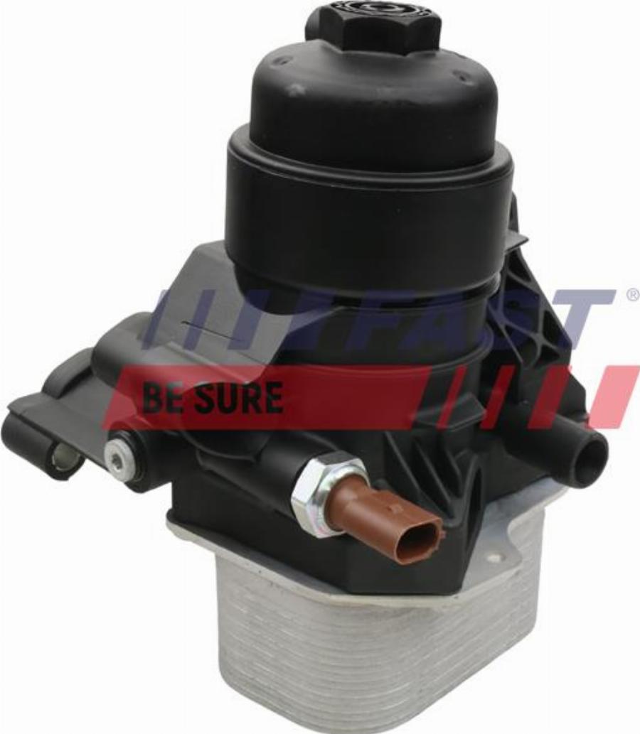 Fast FT55429 - Radiatore olio, Olio motore www.autoricambi360.it
