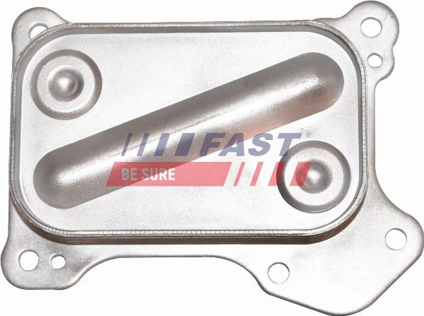 Fast FT55261 - Radiatore olio, Olio motore www.autoricambi360.it