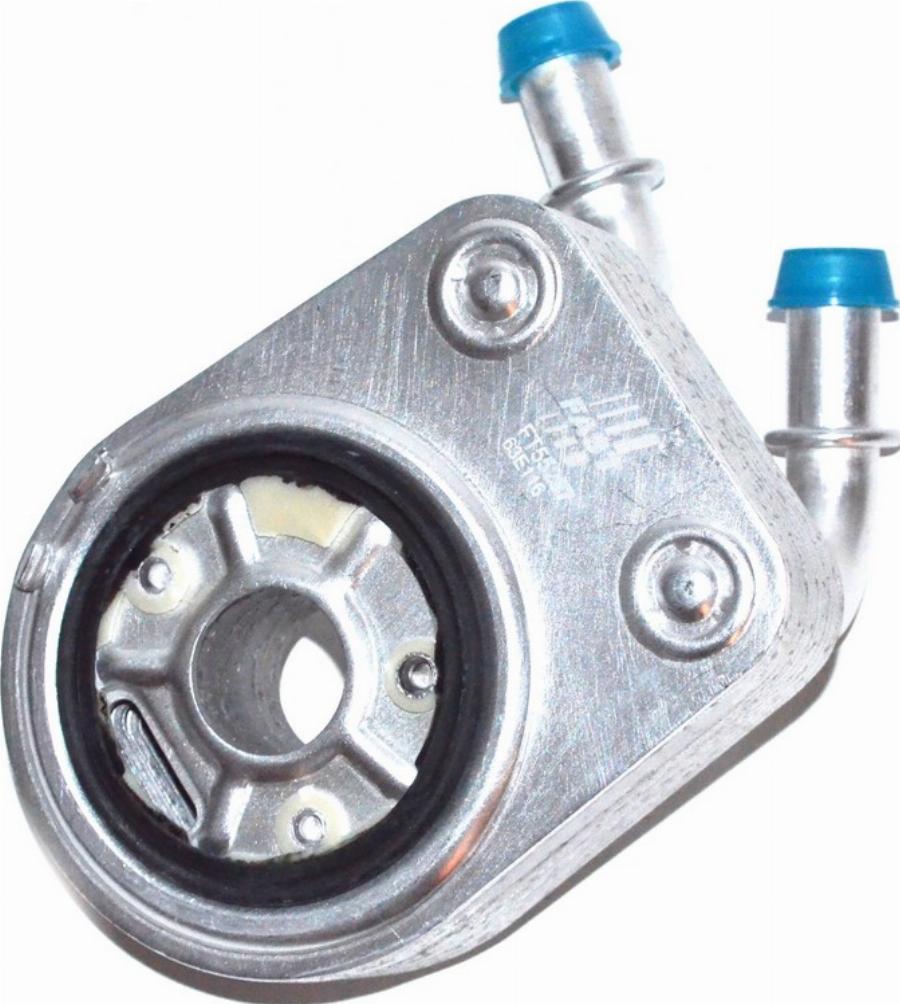 Fast FT55287 - Radiatore olio, Olio motore www.autoricambi360.it