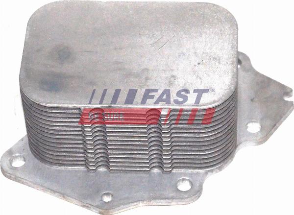 Fast FT55279 - Radiatore olio, Olio motore www.autoricambi360.it