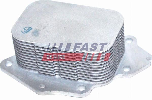 Fast FT55278 - Radiatore olio, Olio motore www.autoricambi360.it