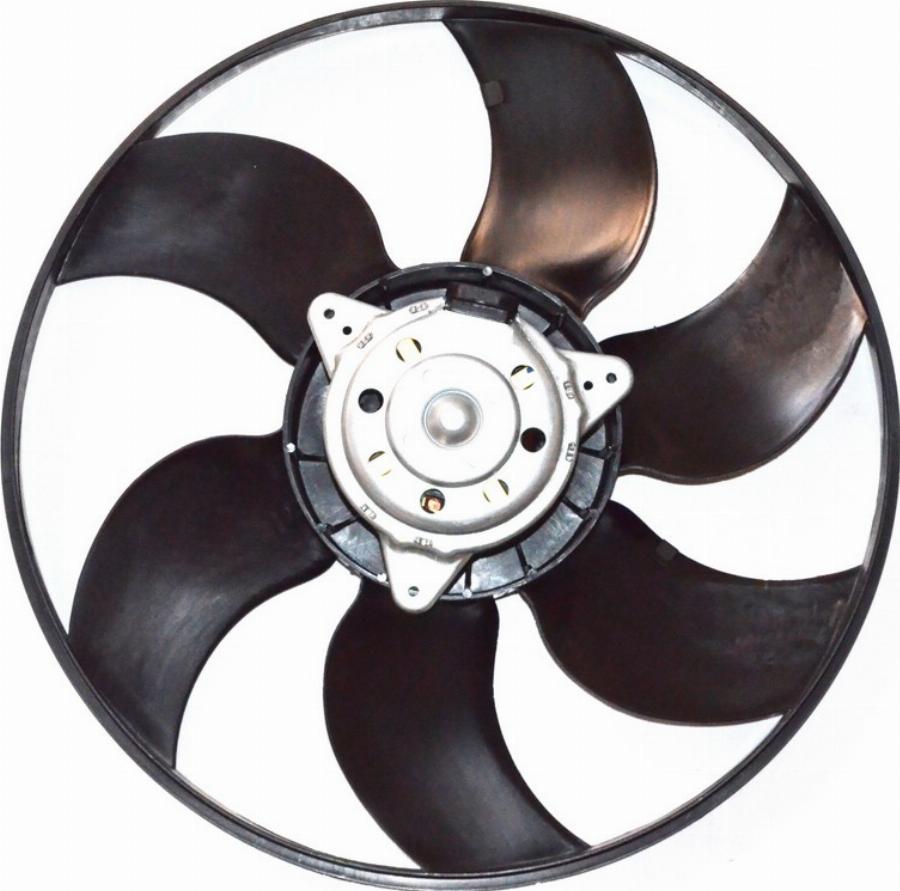 Fast FT56185 - Ventola, Raffreddamento motore www.autoricambi360.it