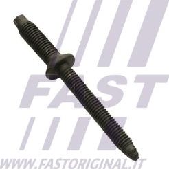 Fast FT51602 - Bullone, Supporto iniettore www.autoricambi360.it