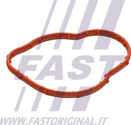 Fast FT58305 - Guarnizione, Termostato www.autoricambi360.it