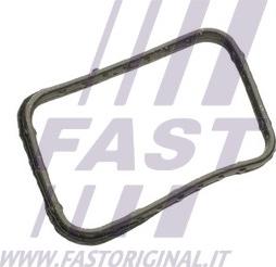 Fast FT58302 - Guarnizione, Termostato www.autoricambi360.it