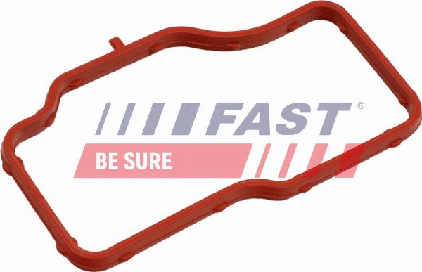 Fast FT58307 - Guarnizione, Alloggiam. termostato www.autoricambi360.it
