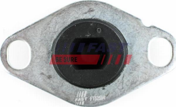 Fast FT52594 - Sospensione, Motore www.autoricambi360.it