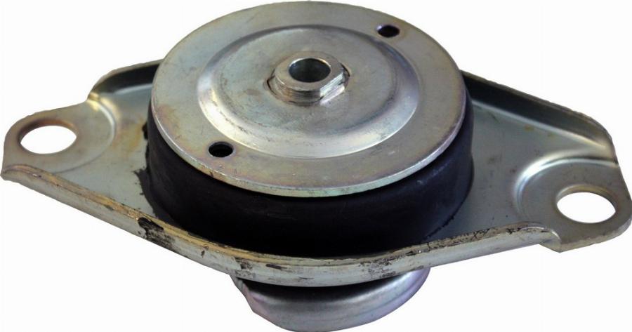 Fast FT52356 - Sospensione, Motore www.autoricambi360.it