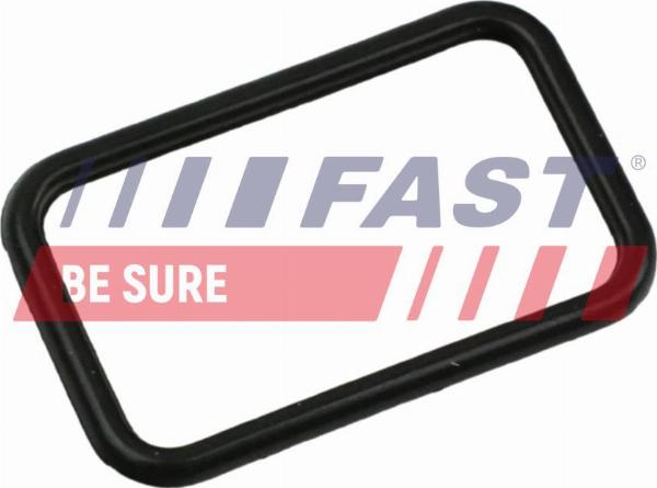 Fast FT57407 - Guarnizione, Pompa acqua www.autoricambi360.it