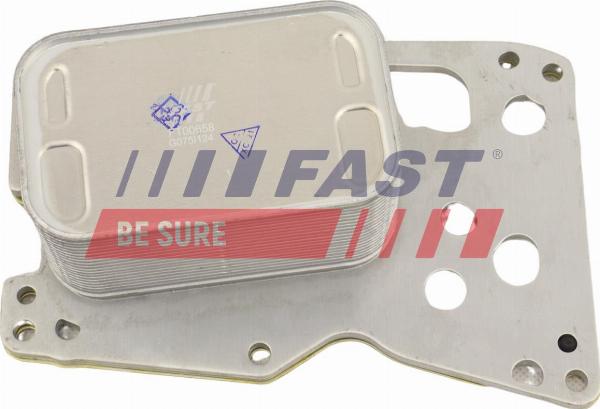 Fast FT00658 - Radiatore olio, Olio motore www.autoricambi360.it
