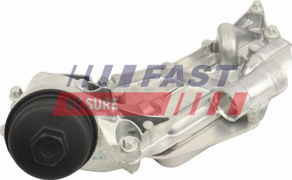 Fast FT00657 - Radiatore olio, Olio motore www.autoricambi360.it