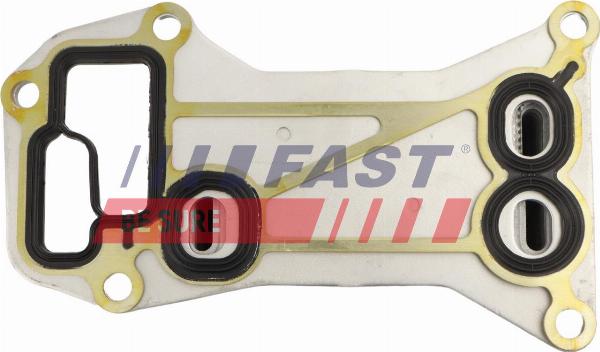 Fast FT00669 - Radiatore olio, Olio motore www.autoricambi360.it