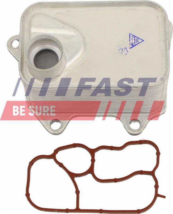 Fast FT00665 - Radiatore olio, Olio motore www.autoricambi360.it