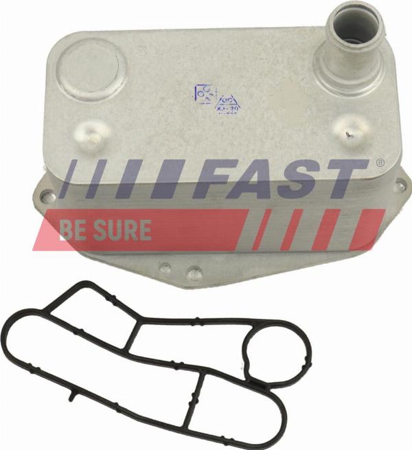 Fast FT00670 - Radiatore olio, Olio motore www.autoricambi360.it