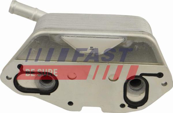 Fast FT00671 - Radiatore olio, Olio motore www.autoricambi360.it