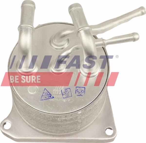 Fast FT01016 - Radiatore olio, Olio motore www.autoricambi360.it