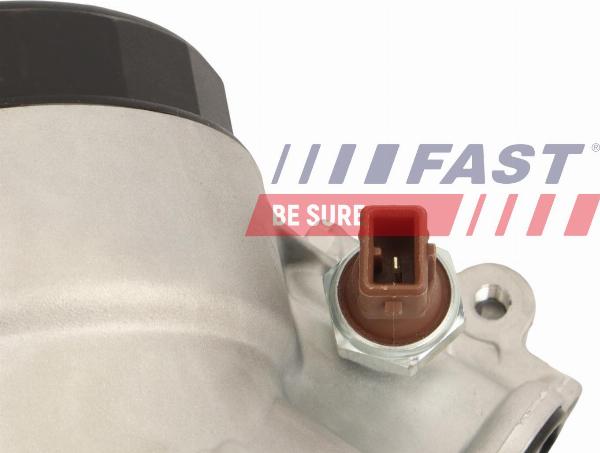 Fast FT01011 - Radiatore olio, Olio motore www.autoricambi360.it