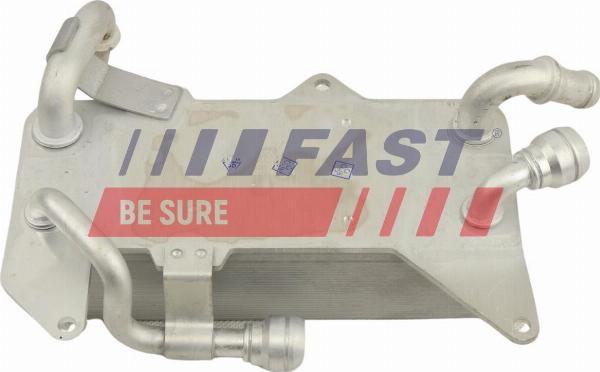 Fast FT01013 - Radiatore olio, Olio motore www.autoricambi360.it