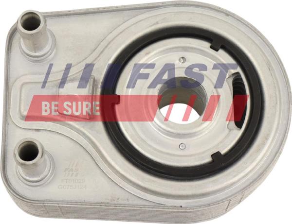 Fast FT01029 - Radiatore olio, Olio motore www.autoricambi360.it
