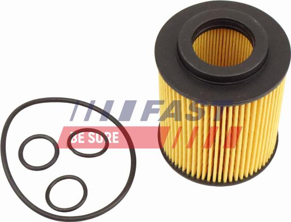 Fast FT01338 - Filtro olio www.autoricambi360.it