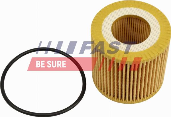 Fast FT01332 - Filtro olio www.autoricambi360.it