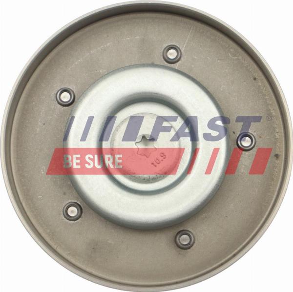 Fast FT10033 - Galoppino / Guidacinghia, Cinghia Poly-V www.autoricambi360.it