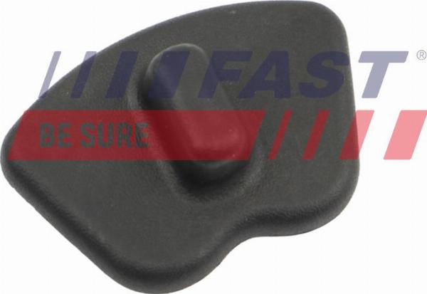 Fast FT10196 - Maniglia apriporta www.autoricambi360.it