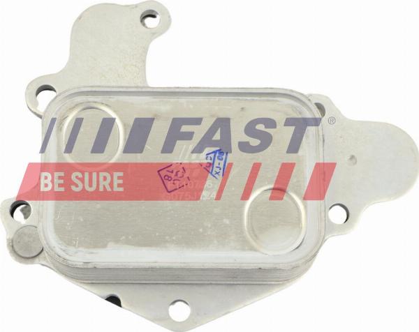 Fast FT10736 - Radiatore olio, Olio motore www.autoricambi360.it
