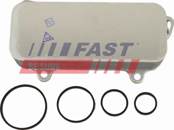 Fast FT10732 - Radiatore olio, Olio motore www.autoricambi360.it