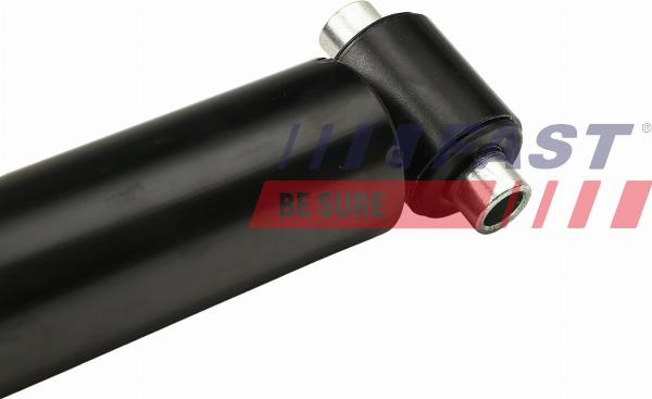 Fast FT11078 - Ammortizzatore www.autoricambi360.it
