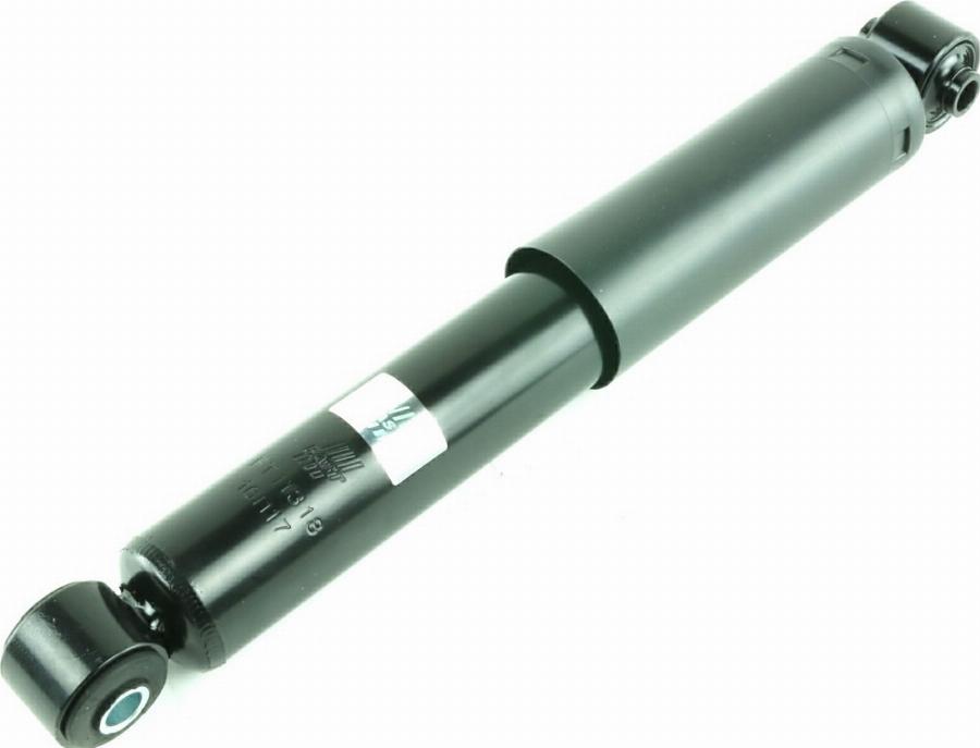 Fast FT11318 - Ammortizzatore www.autoricambi360.it