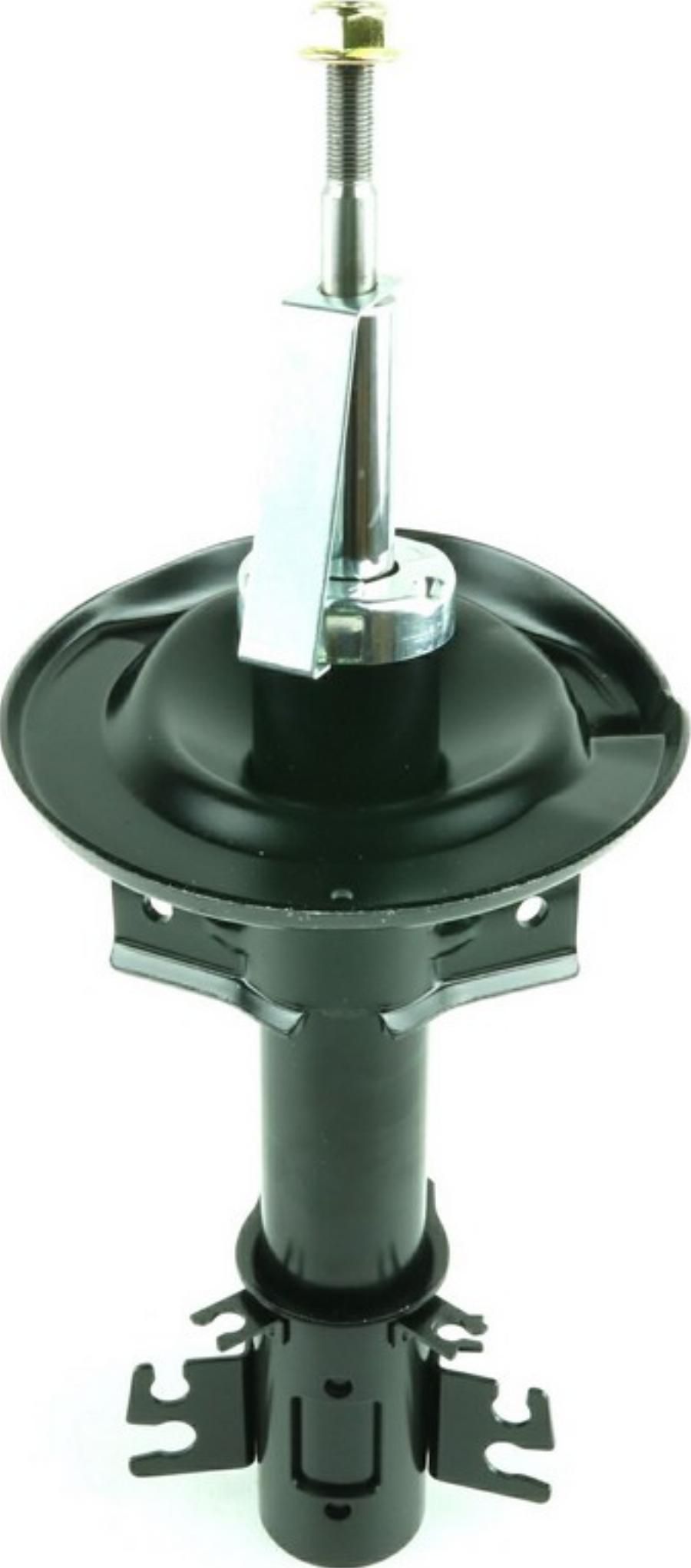 Fast FT11317 - Ammortizzatore www.autoricambi360.it