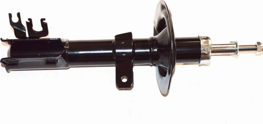 Fast FT11269 - Ammortizzatore www.autoricambi360.it