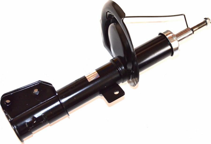 Fast FT11212 - Ammortizzatore www.autoricambi360.it