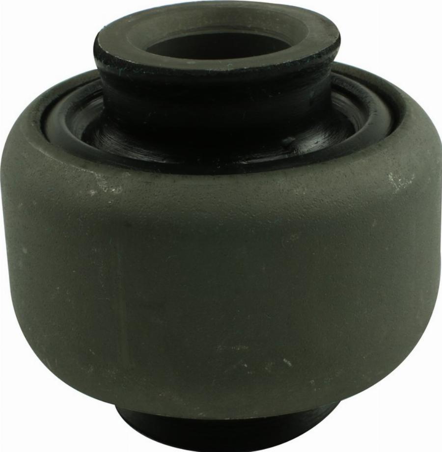 Fast FT18513 - Supporto, Braccio oscillante www.autoricambi360.it
