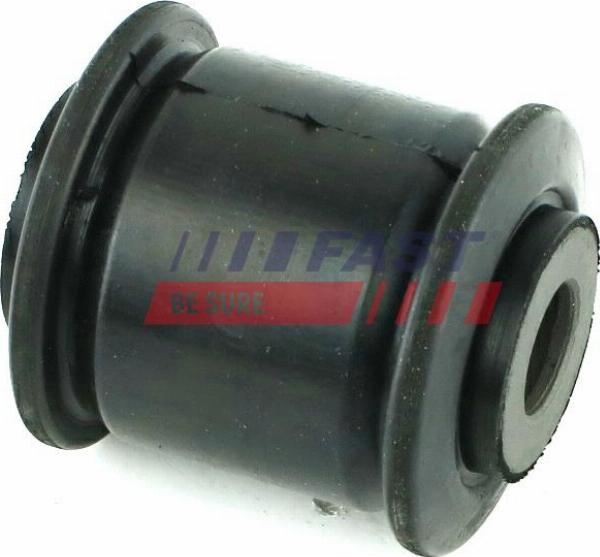 Fast FT18030 - Supporto, Braccio oscillante www.autoricambi360.it