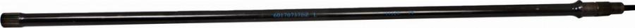Fast FT13506 - Molla autotelaio www.autoricambi360.it