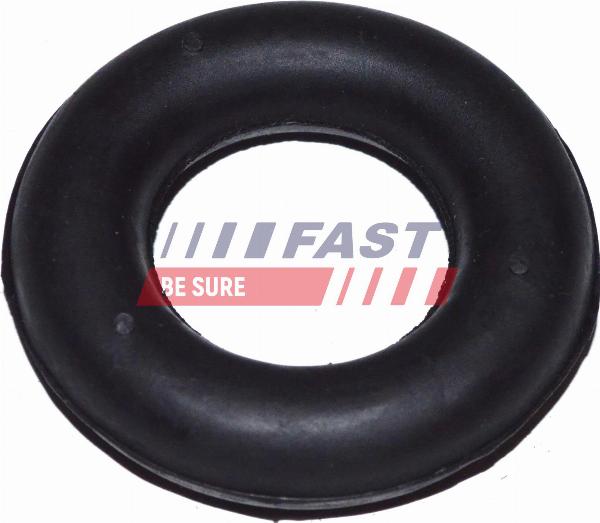 Fast FT84504 - Supporto, Silenziatore www.autoricambi360.it