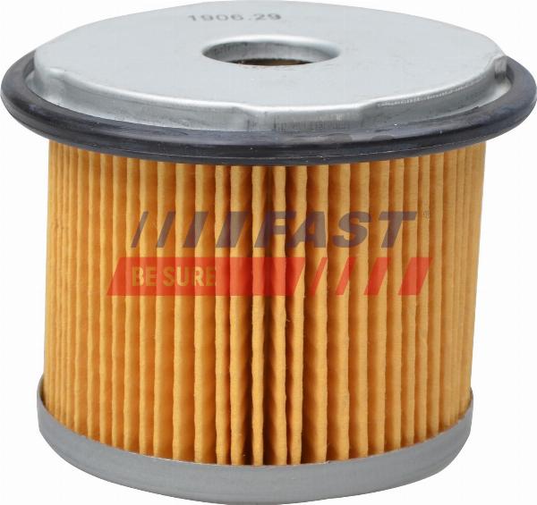 Fast FT39026 - Filtro carburante www.autoricambi360.it