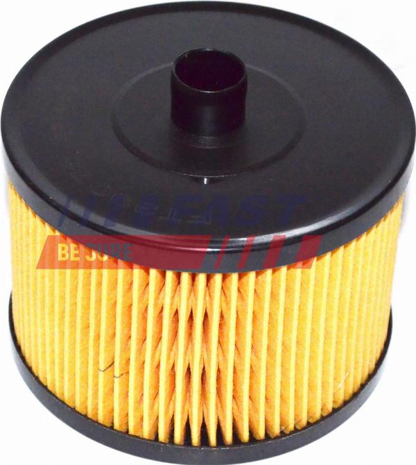 Fast FT39076 - Filtro carburante www.autoricambi360.it