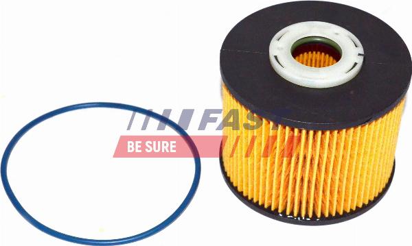 Fast FT39077 - Filtro carburante www.autoricambi360.it
