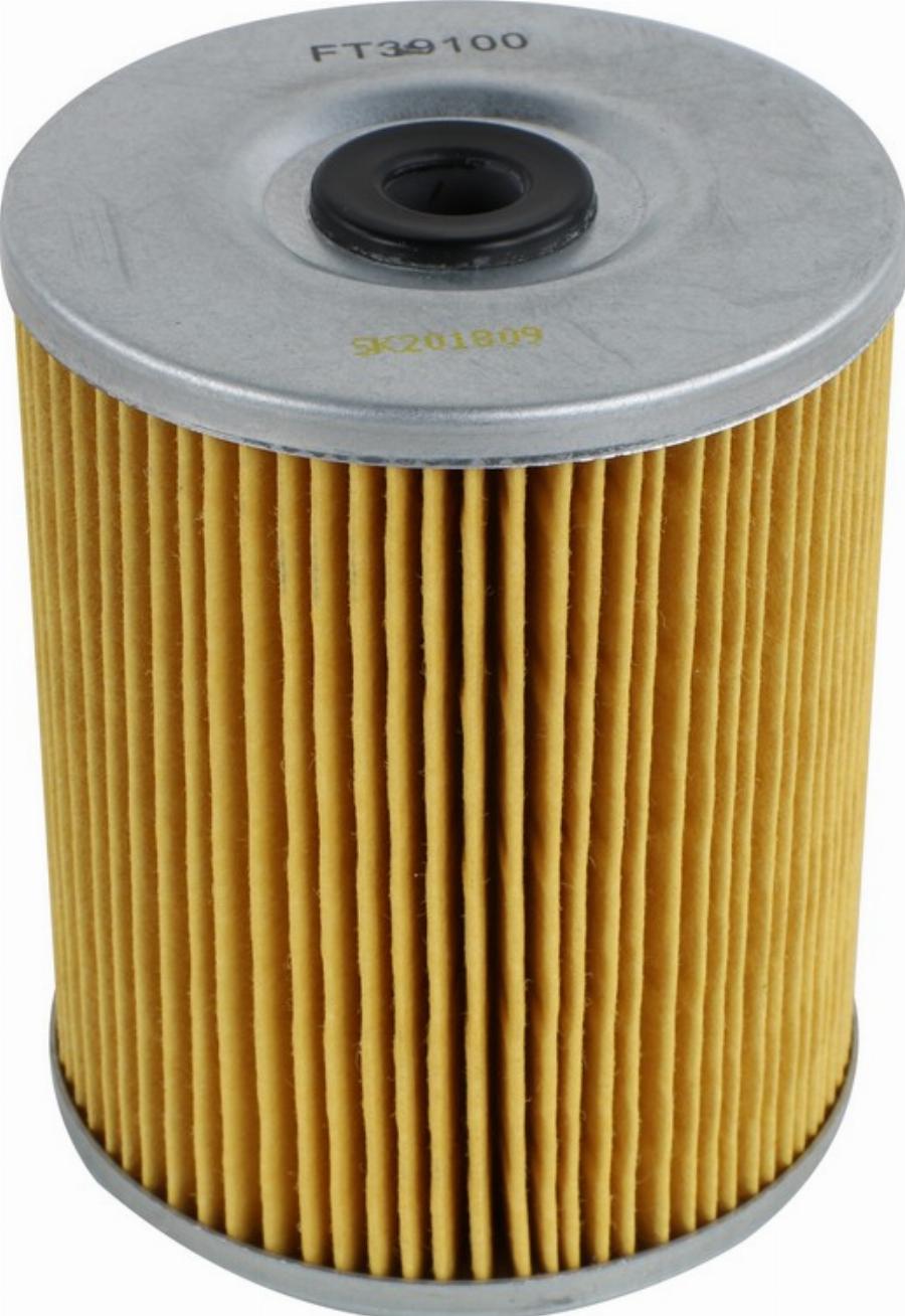 Fast FT39100 - Filtro carburante www.autoricambi360.it
