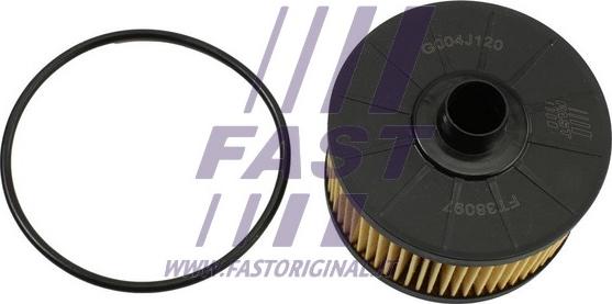 Fast FT38097 - Filtro olio www.autoricambi360.it